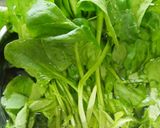 ほうれん草とひじきの梅つゆだし浸し作り方1写真
