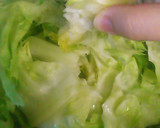 レタスを１０倍美味しくするちぎり方作り方6写真