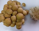 🍄‍🟫きのこと油揚げの塩昆布炊き込みご飯作り方3写真
