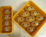 運動会のお弁当 2012・春作り方1写真