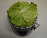 白菜のソーラー丸太蒸し作り方5写真