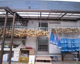 新玉ねぎと刺身こんにゃくの甜面醤サラダ作り方1写真