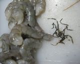 簡単海老カツ作り方4写真
