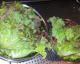 水みずしぃ葉物野菜の保管方法作り方1写真