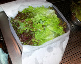 水みずしぃ葉物野菜の保管方法作り方2写真