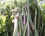 シオデの砂肝炒め作り方1写真