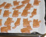 ☻'ᴗ'σサクサク❣練乳㋙㋙㋐クッキー☻作り方10写真