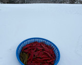 寒ざらし韓国とうがらし🌶️の旨辛醤油糀作り方9写真