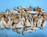 しめじ☆しめしめ☆卵を☆ゲット!!作り方1写真