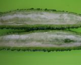 ゴーヤだけでしっかりおかず作り方1写真