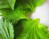 チーズのワンタン焼き♪作り方1写真