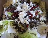 簡単で美味しい白菜漬け作り方3写真