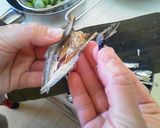 お味噌汁に是非！簡単お出汁の取り方作り方3写真