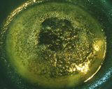 ホタテのソテー作り方4写真