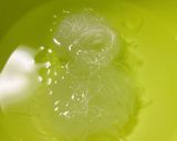 カニカマときゅうりの中華風春雨サラダ作り方1写真
