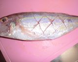 いとより★味噌煮作り方2写真