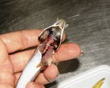 鯵の開き南蛮作り方3写真