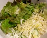 簡単生春巻き作り方1写真