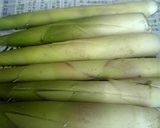 たけのこ（ネマガリ竹）の処理方法作り方1写真