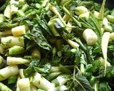 グリーンカレー（山菜バージョン）作り方8写真