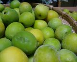 梅シロップ(覚書）作り方1写真