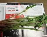 みずをしたごしらえし、おひたしで。作り方1写真