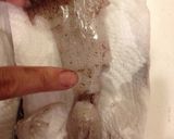 ひいかの醤油漬け＆下処理作り方4写真