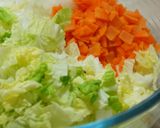 白菜コールスローサラダ作り方1写真