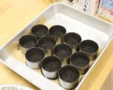 トロピカルレアチーズケーキ作り方3写真