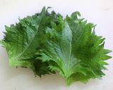 香りがイイ♪　癒しの大葉茶作り方1写真