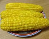 ルクルーゼで作ろ！蒸しとうもろこし作り方5写真