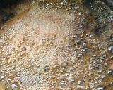 アスパラえのきベーコンの焦がしバター醤油作り方6写真