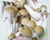 ✿旨みギュッ♬塩麹鶏のすき焼き風卵とじ✿作り方4写真