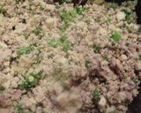 低糖質＊だしいらず＊高野豆腐で炒り豆腐作り方3写真