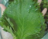 青じそ香る～☆ジェノベーゼパスタ作り方1写真