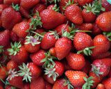 畑のいちごジャム作り方1写真