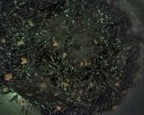 梅ひじき~ご飯にあいます~作り方4写真