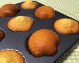 ピスタチオのマドレーヌ作り方8写真