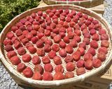昔ながらの自家製梅干し作り方18写真