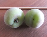 我が家のカリカリ小梅漬け作り方2写真