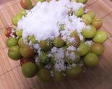 我が家のカリカリ小梅漬け作り方3写真