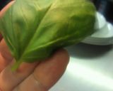 バジルペースト作り方1写真
