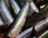 いわしの生姜煮作り方1写真