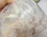 唐揚げのネギソースがけ作り方2写真