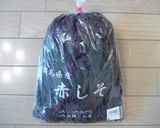 昔ながらの自家製梅干し作り方10写真