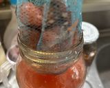 いちごの酵母（液種）作り方7写真