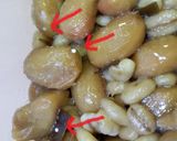 麦麹で簡単！おいしい！もろみ納豆作り方5写真