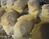 バナナあんこ☆ギョウザ作り方3写真
