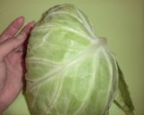 お野菜たっぷり♬ひき肉の生春巻き作り方1写真