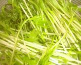 蒸し鶏と水菜とキャベツ♪特製ソース和え作り方2写真